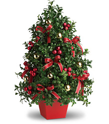 Deck the Halls Tree from Arjuna Florist in Brockport, NY